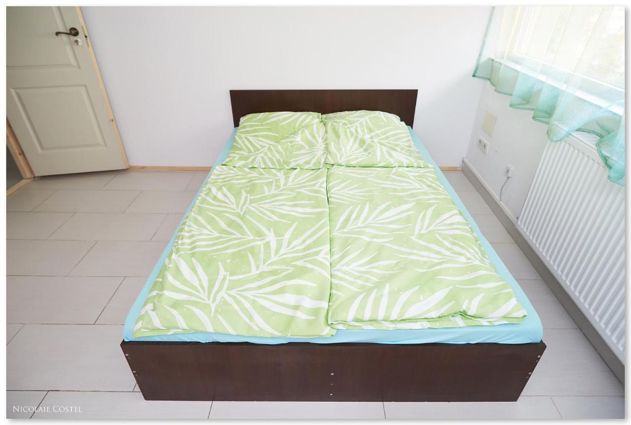Zen House Hostel Timisoara Luaran gambar